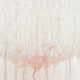 Detail - Untitled 2014
